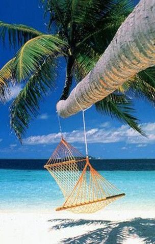 Con quale Vip andresti in vacanza? [TEST]