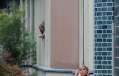 Michelle Hunziker e Tomaso Trussardi: foto della coppia vip