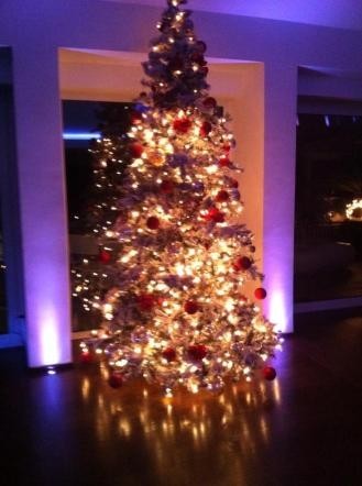 Alberi di Natale 2012 dei vip: copia le scelte delle star [FOTO]