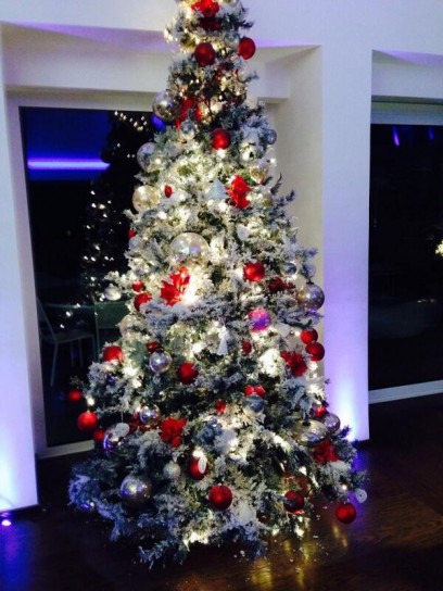 Antonella Clerici mostra orgogliosa il suo albero 