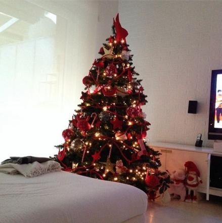 Katia Pedrotti e il suo albero