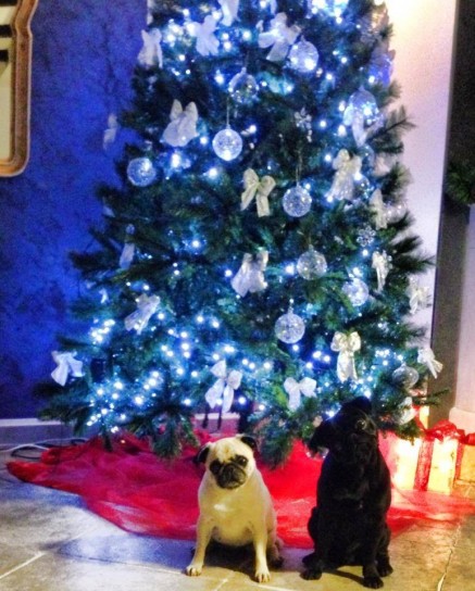L'albero di Natale di Marco Carta