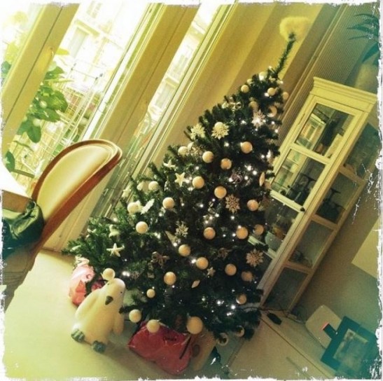 Melita Toniolo e il suo albero