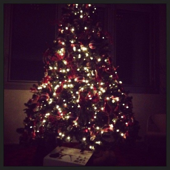 Federica Fontana e il suo albero